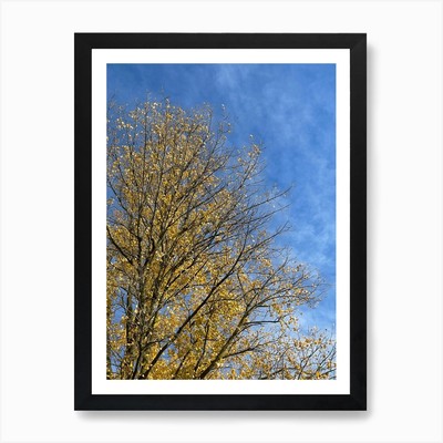 Herbst Baum gegen blauen Himmel 1 Kunst gerahmt Wandbild Poster Leinwanddruck Bild