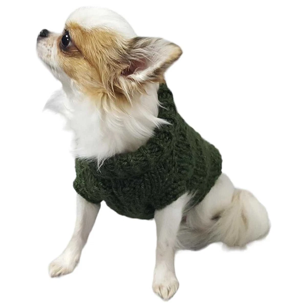 Hundebekleidung Chihuahua online kaufen | eBay.de