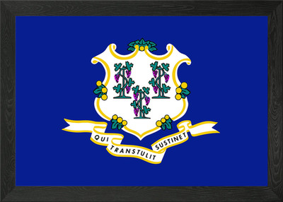 Staatsflagge von Connecticut gerahmtes Wandbild Poster Leinwanddruck Bild