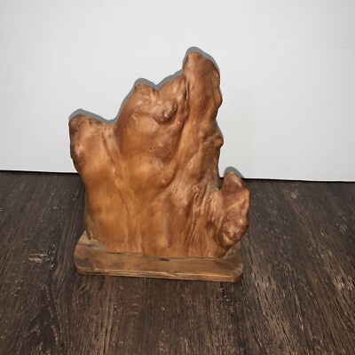 Vintage CYPRESS KNEE Tree Root 8  Natural Wood Sculpture Decor