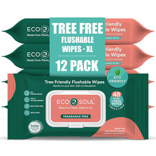 Bamboo Flushable Extra-Large Adult Wipes-Unscented 576 Count 12 Pack of 48 Eco