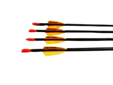 Victory VAP (.166) Gamer Arrows | 500 Spine | 4 Pack | 26" | Beiter Pin Nocks