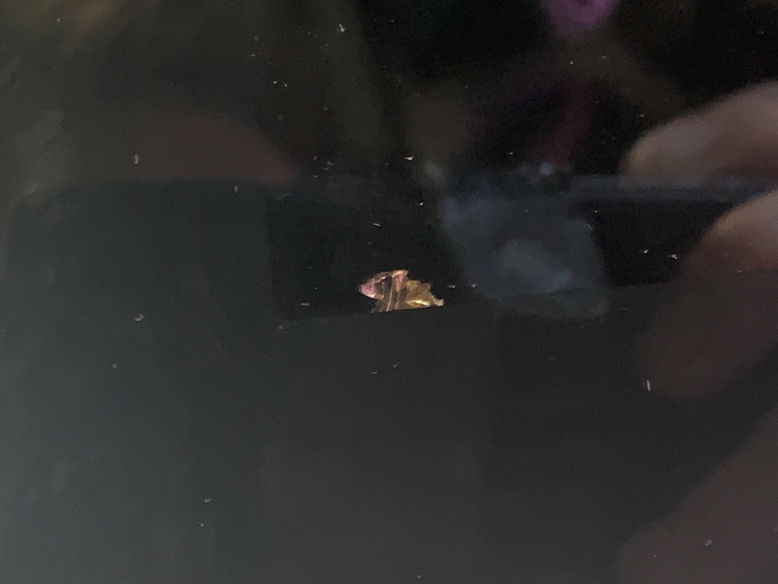 Picture 12 of 12