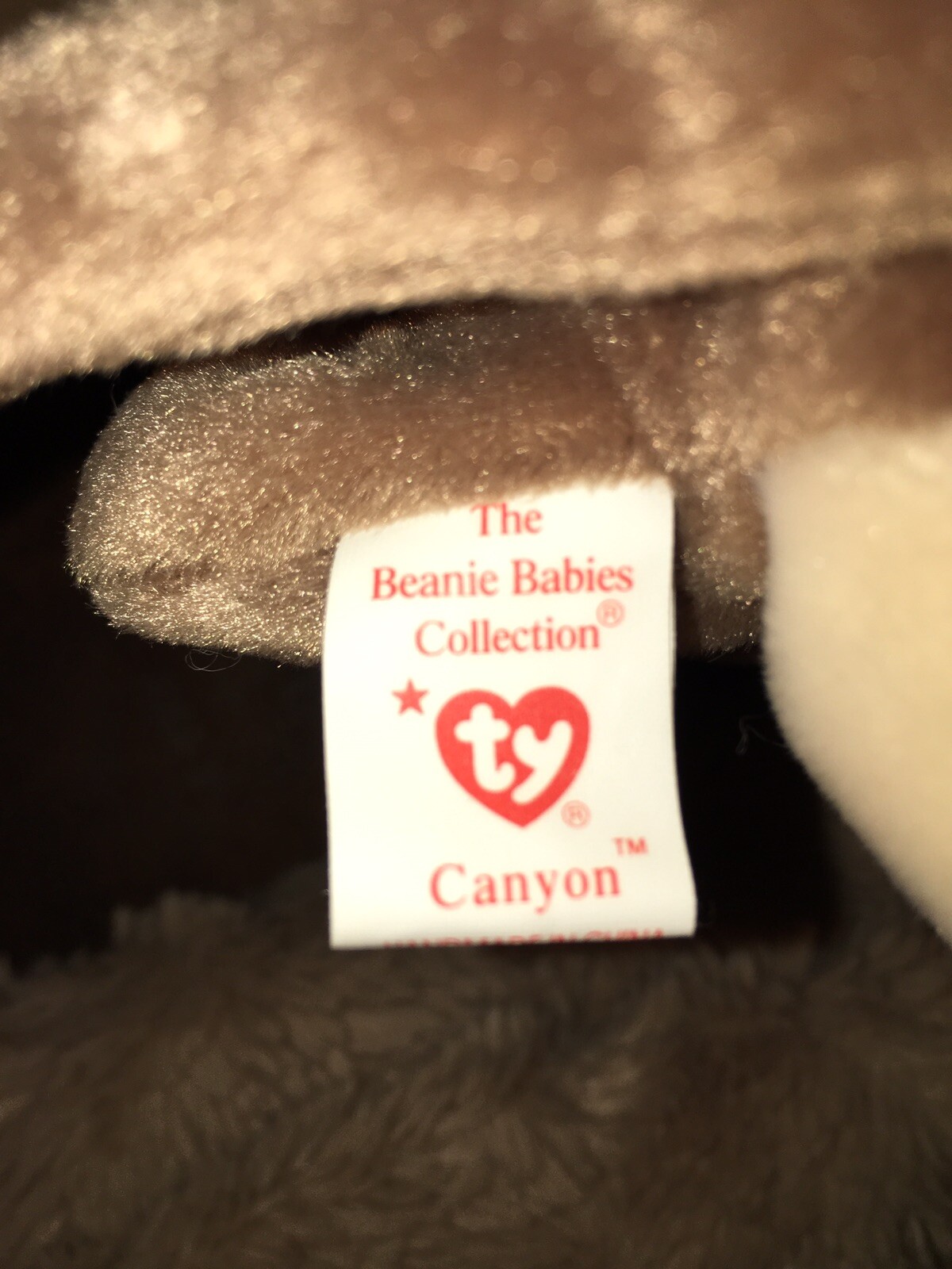 ty beanie baby canyon 1998 rare eBay