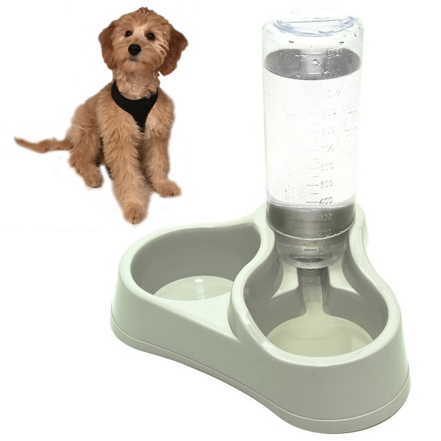 automatic pet feeder and waterer