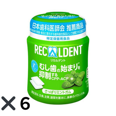 Mondelez Recaldent Mint Kaugummiflasche 135,2 g x 6 Kaugummi Fresh Mint Japan
