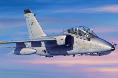 HobbyBoss Models 1/48 AMX A-11B Trainer