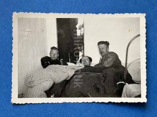 Foto, Kameraden im Bett Warenikowskaja Kuban Brückenkopf 1943, XT55189