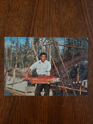 Vintage Postcard Fish Wheel Fishing King Salmon,  Alaska