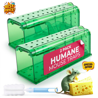 Humane Mouse Traps (2-Pack) Reusable Plastic No-Kill Traps with Brush