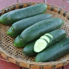 40 Heirloom Long Green Improved Cucumber Seeds - Not Bitter - Crisp - Thin Skin
