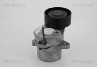 Triscan Riemenspanner Keilrippenriemen 8641 231024 FüR C204 Slc A207 Klasse C207