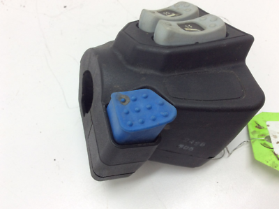 Cat　0609 0609-152.jpg