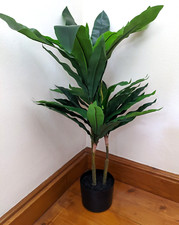 Hollyone - Artificial Dracaena Fragrans Plant in a Black Pot - 80cm