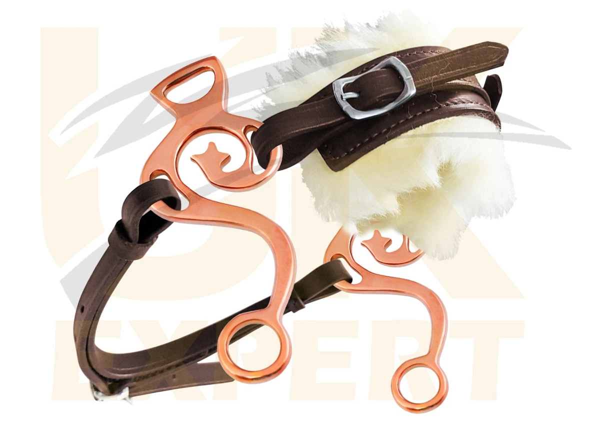 RAINBOW DRAGO Hackamore – Ricambio Guance Bitless In Acciaio Inox Per Cavallo (inglese/western)