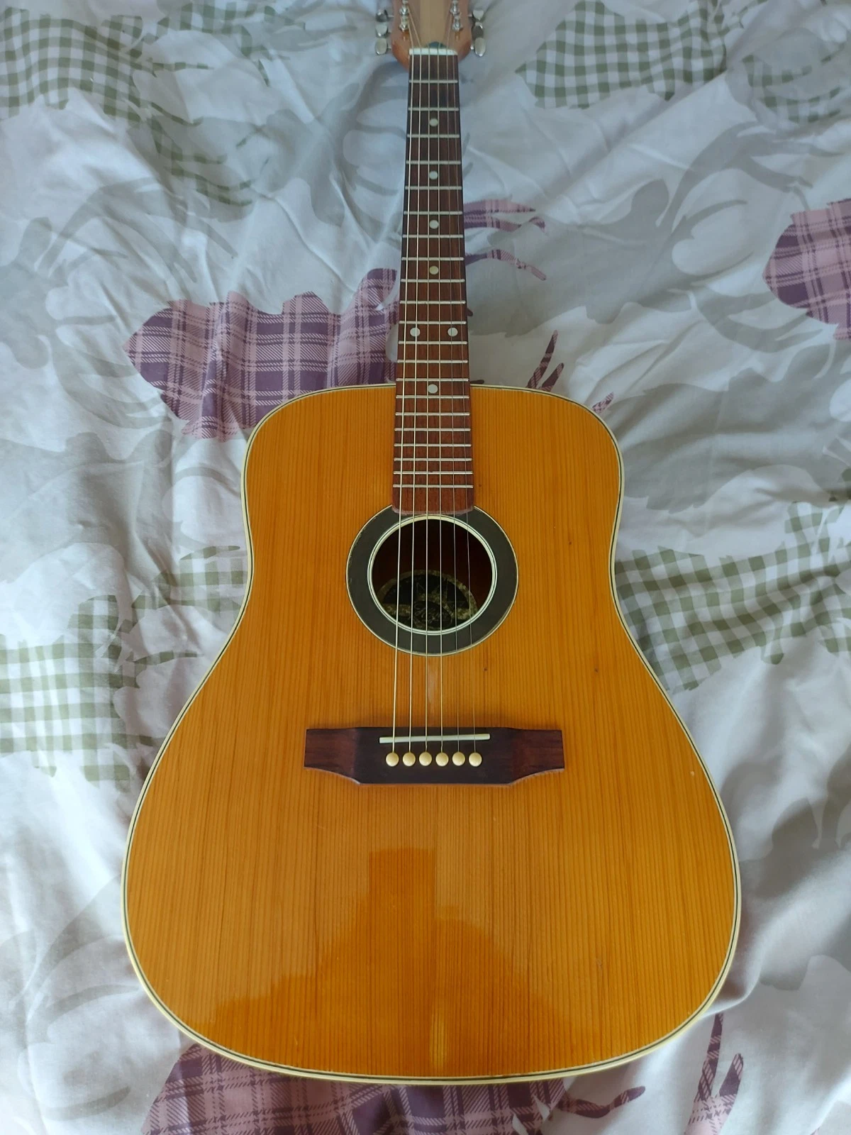 Picture 5 of 22