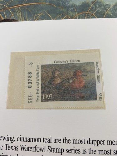 1997 TEXAS WATERFOWL PRINT & STAMP ~ Jim Hautman #2564/5650 Signed Cinnamon Teal - Picture 6 of 11