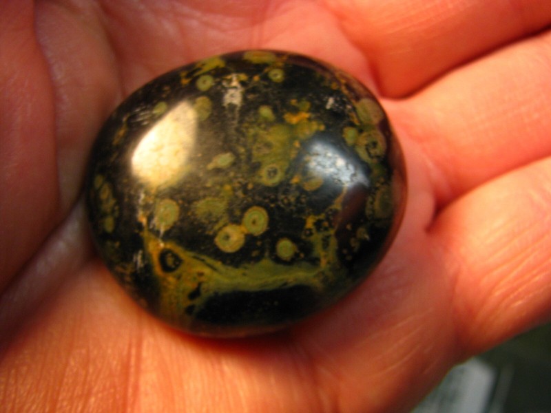 1.5inch 42g KAMBABA JASPER STROMATOLITE PALMSTONE MADAGASCAR #130