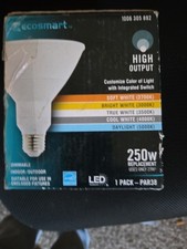 EcoSmart PAR38 High Output 250-Watt Equivalent Flood LED Light Bulb