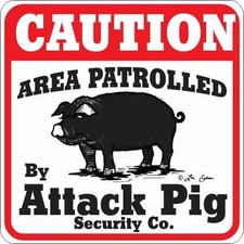 Attack Pig Sign Decorative Outdoor Indoor 11 x 11 Made in USA Durable Gift
