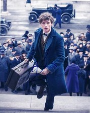 EDDIE REDMAYNE SIGNED 8X10 PHOTO AUTHENTIC AUTOGRAPH FANTASTIC BEASTS COA B