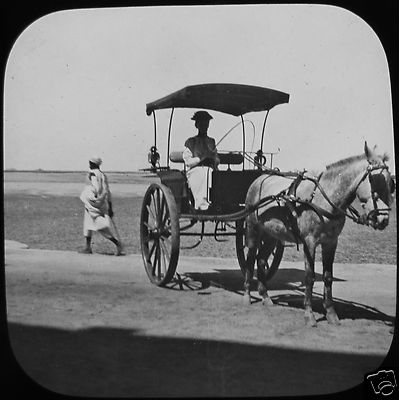 Glas Zauber Laterne Dia DAME IN PONY UND FALLE UM 1900 FOTO ÄGYPTEN ?