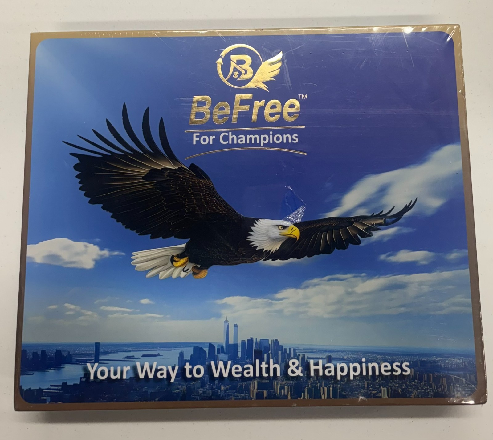 BeFree for Champions Financial Literacy Board Game Money, Investing ...