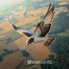 Digital Image Picture Photo Wallpaper Background Desktop AI Art Sample Product