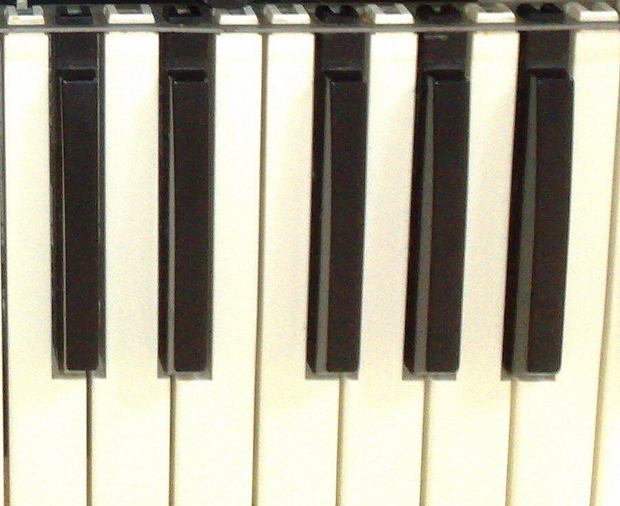 Spare Key for Technics SX-KN2000, KN3000, KN5000, KN6000, KN6500