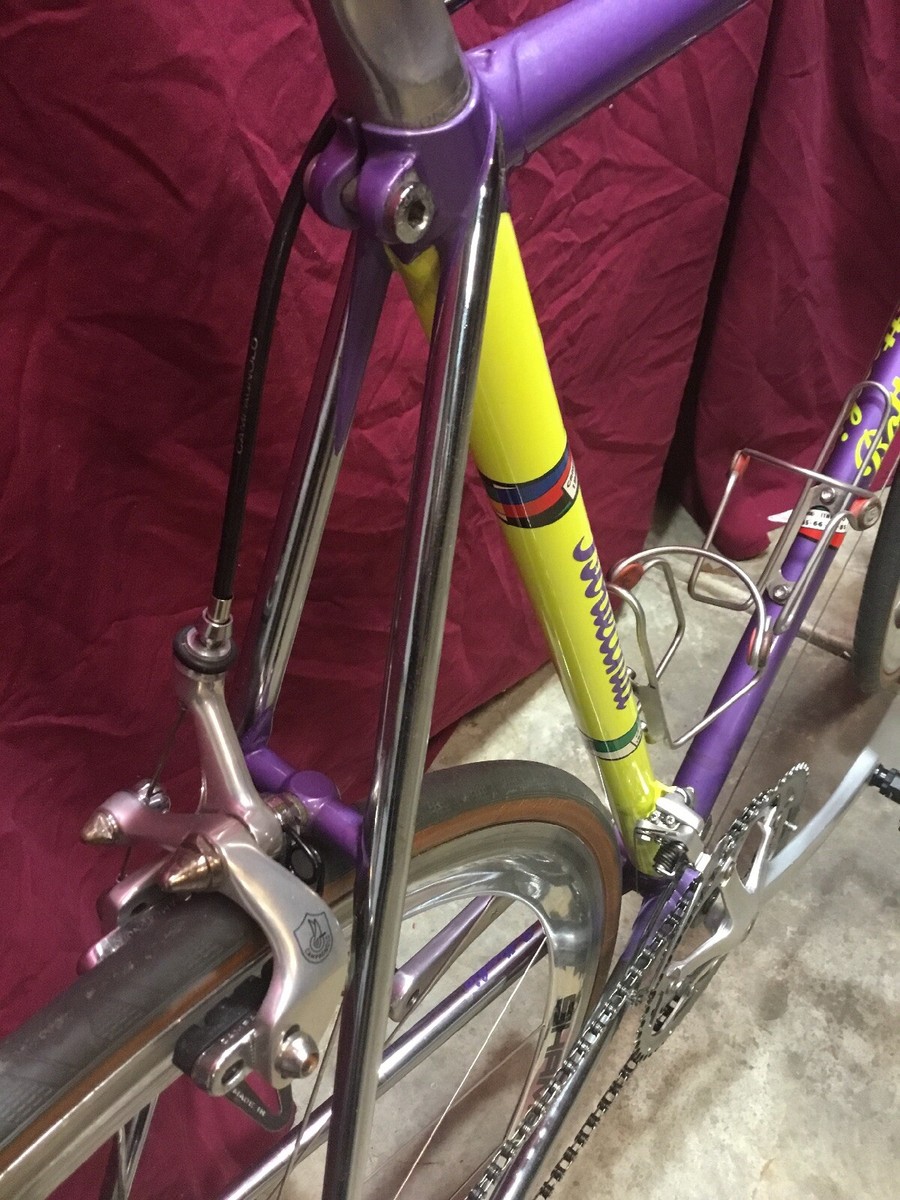 Vintage Bottecchia Steel 57c Road Bike Columbus SLX Campagnolo