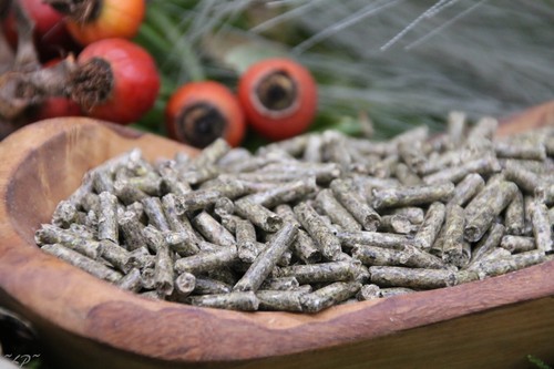 Anhaltiner Kaninchenfutter Zucht 10kg Pellets Alleinfutter Protein laktierend - Bild 4 von 4