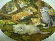 Decorative Cat Picture Plate Collectable - Playful Kittens Purrfect Portrait 