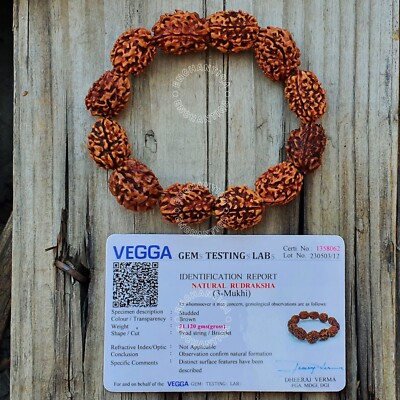 3 Mukhi Rudraksha Armband / Three Face Rudraksh Wristlet Indian Lab Certified