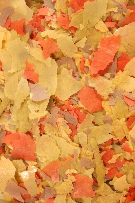 Basic mixed fish food flakes mineral and vitamin supplement eBay