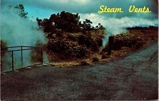Steam Vents Hawaii Volcanoes National Park HI Postcard UNP VTG Dexter Unused