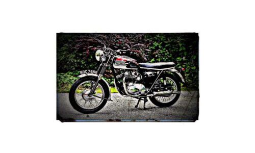 1964 triumph tiger Bike Motorcycle A4 Photo Poster - Foto 1 di 1