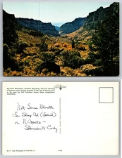 Big Horn Mountains Wyoming Landscape Postcard