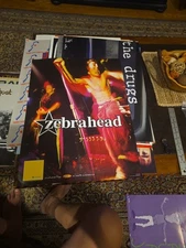 Zebrahead Dr. Dream Records 1998 CD/Album Release Promo Poster 24x18