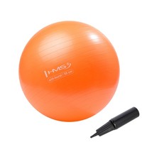 Gymnastikball Fitnessball Sitzball Yogaball 55 Cm Anti Burst Pumpe Orange Hms