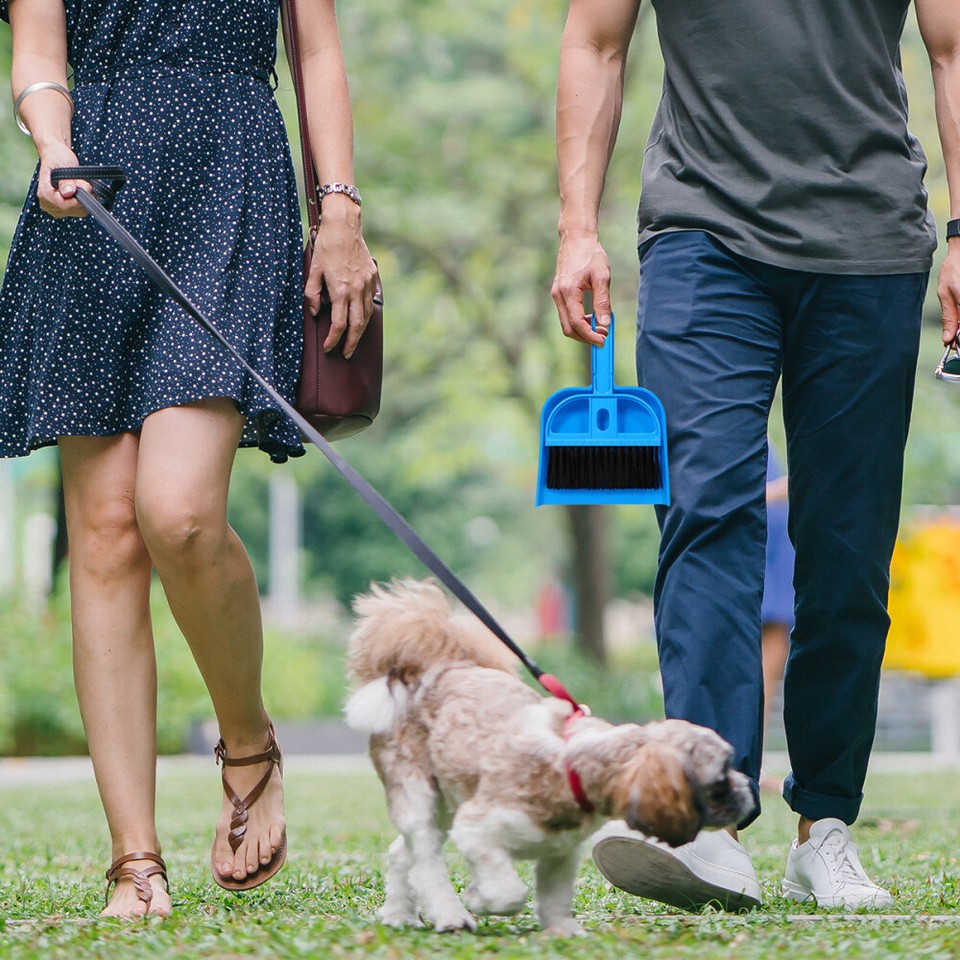 Small Dustpan and Brush Cage Cleaner Pet Set Guinea Pig Accessories