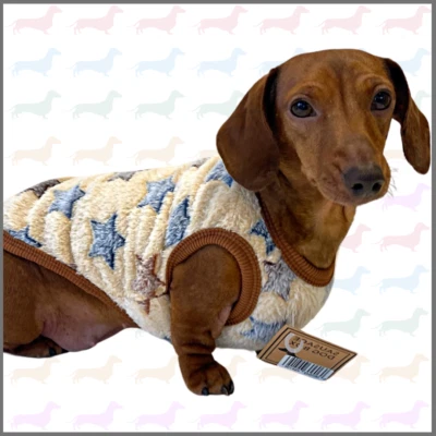 Beige Twinkle Twinkle - Sausage Dog Box Dachshund PJ's/Jumper