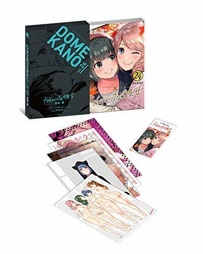 Domestic Girlfriend na Kanojo Vol.12 Limited Edition Manga Booklet