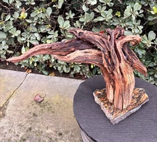 Aquarium Fish Tank Terrarium Aquascape  Manzanita Root Granite Base