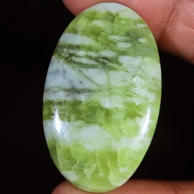 Natürlich Serpentine Cabochon Lose Edelstein 46.80 Cts. (24 x 39 X 5 MM) Oval - Bild 1 von 4