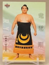 Ryuden Goshi 2021 BBM Sumo Wrestling Card Japanese S497