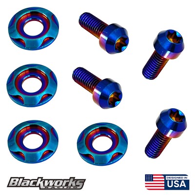 4 TITANIUM BURNT LICENSE PLATE ANTI THEFT SECURITY BOLTS WASHERS TORX SCREWS