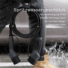 Bild 5 von 12