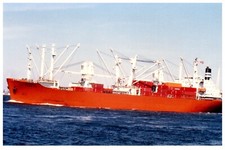 Barber Terrier (1977) Cargo Ship Barber Blue Sea Line Photo VTG 4x6" IMO 7515315