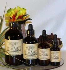 BILBERRY LEAF Extract blood circulation heart vision ORGANIC FOLK Tincture ~