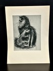 1930s-1950s Signed Portfolio Cat Kitten Drawings (15) by Clare Turlay Newberry — photo 8
